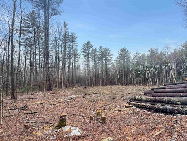 Land for sale in Wardsboro, Vermont
