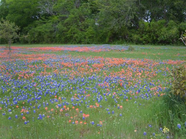 Land for sale in Belton, Texas