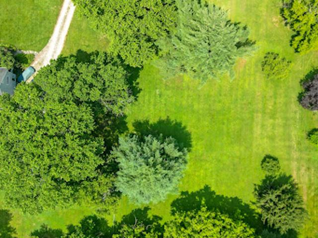 Land for sale in Prospect