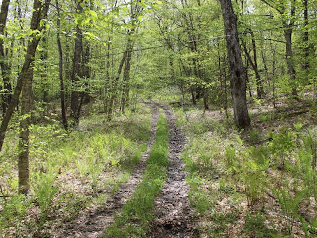 Land for sale in South Woodstock, Vermont