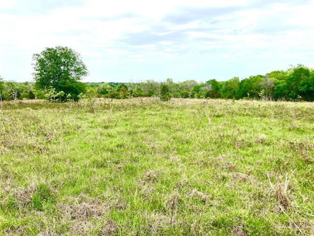 Land for sale in Wharton, Texas