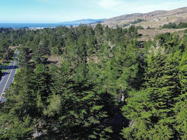 Land for sale in Bodega Bay, California