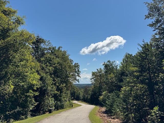 Land for sale in Rutherford, North Carolina