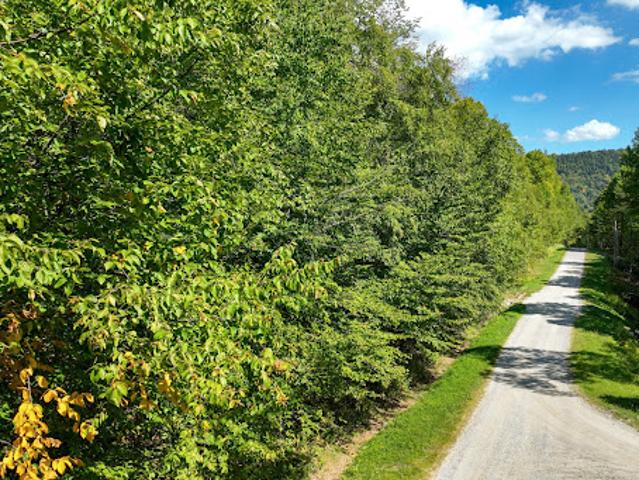 Land for sale in Plymouth, Vermont
