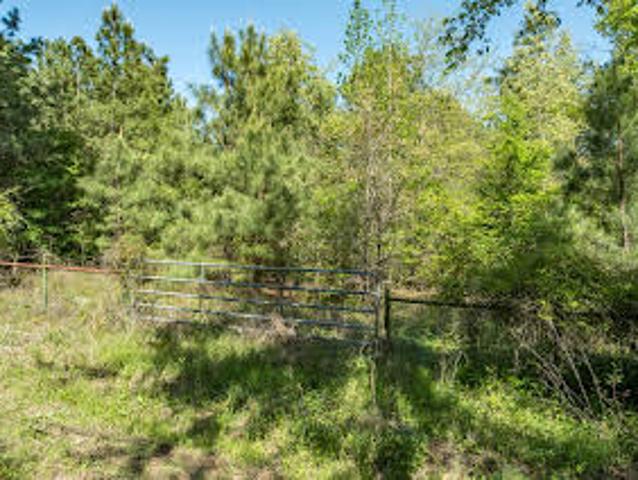 Land for sale in Brownsboro Land for sale in Brownsboro