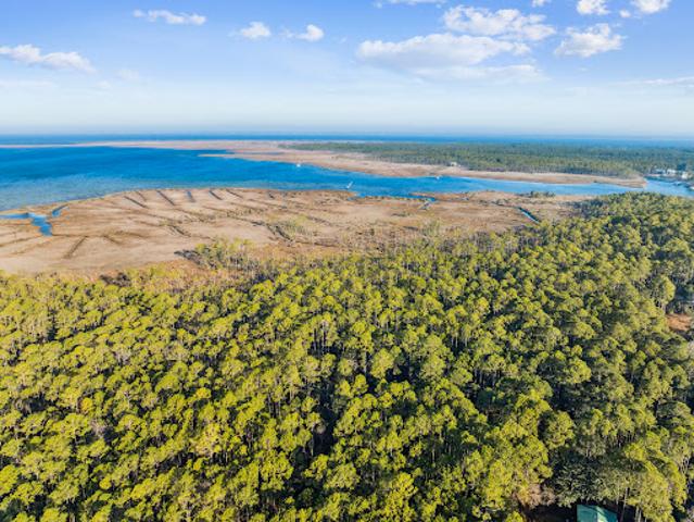 Land for sale in Walton, Florida