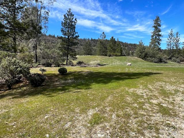 Land for sale in Pollock Pines, California