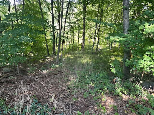 Land for sale in Sherman, Connecticut