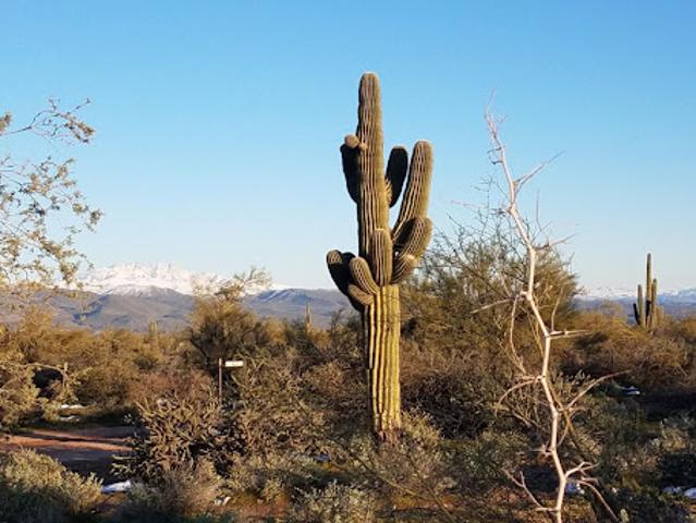 Land for sale in Scottsdale