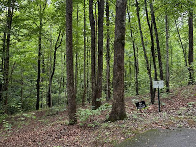 Land for sale in Travelers Rest, South Carolina