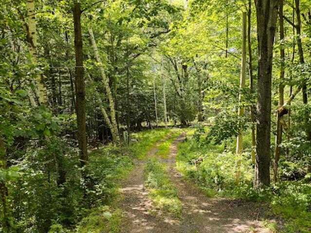 Land for sale in Olive, New York