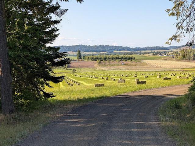 Land for sale in Plummer, Idaho