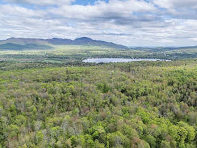 Land for sale in Eastman