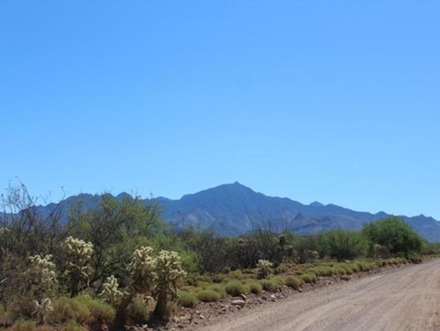 Land for sale in Arizona