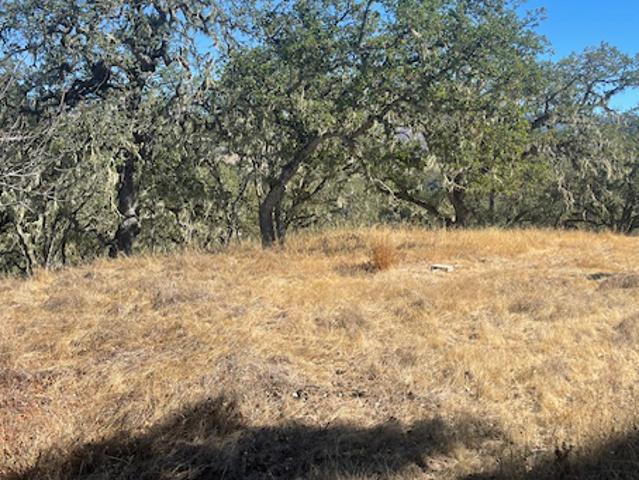 Land for sale in California
