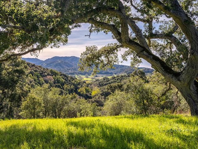 Land for sale in Carmel-by-the-Sea, Monterey County