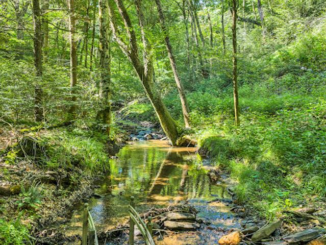 Land for sale in Watauga, North Carolina