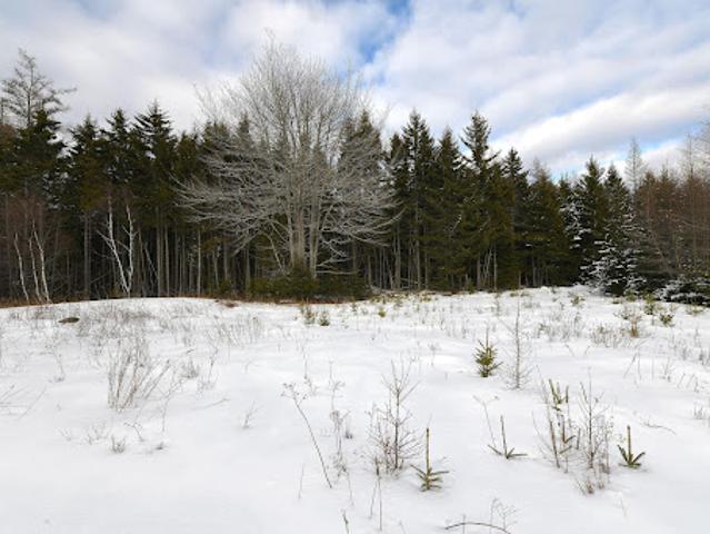 Land for sale in Deer Isle, Maine