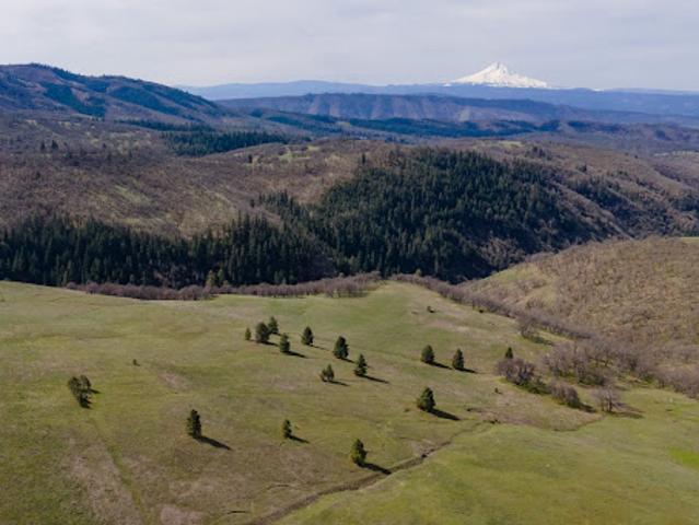 Land for sale in Lyle, Washington