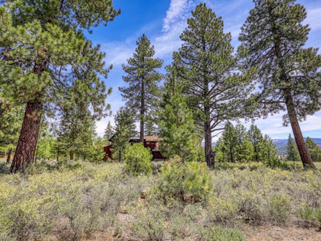 Land for sale in Truckee, California