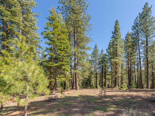 Land for sale in Truckee, California