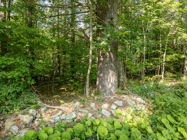 Land for sale in Chatham, New York