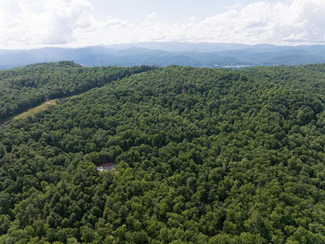 Land for sale in Transylvania, North Carolina
