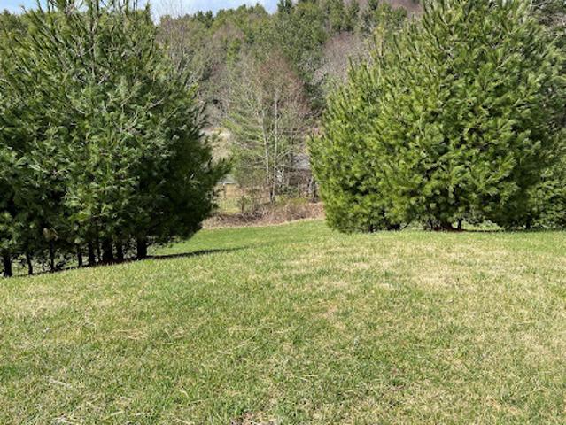 Land for sale in Watauga, North Carolina