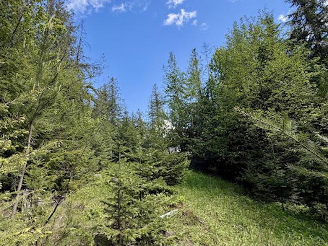 Land for sale in Sagle, Idaho