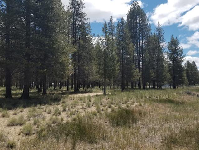 Land for sale in Oregonia