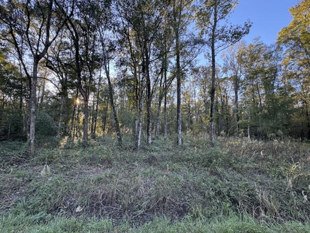 Land for sale in Hastings Land for sale in Hastings