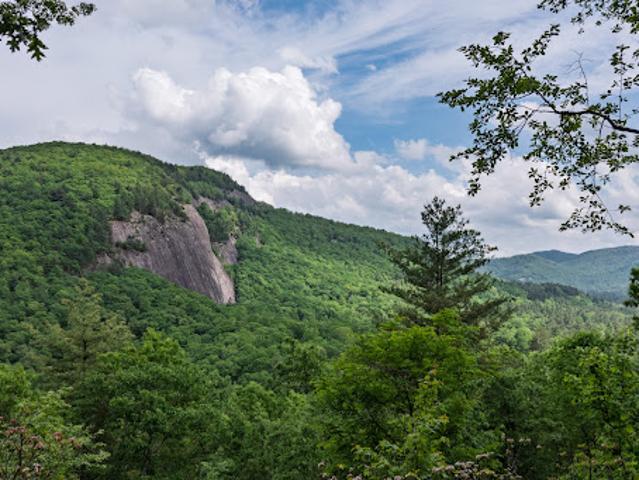 Land for sale in Transylvania, North Carolina