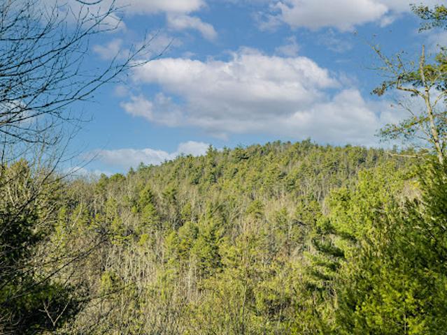 Land for sale in North Carolina