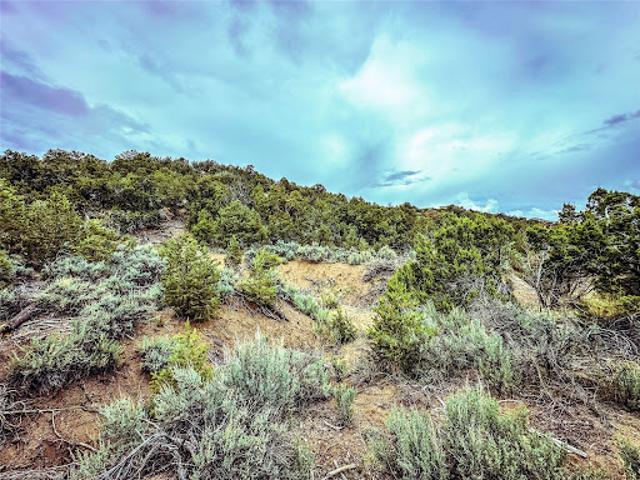 Land for sale in New Mexico