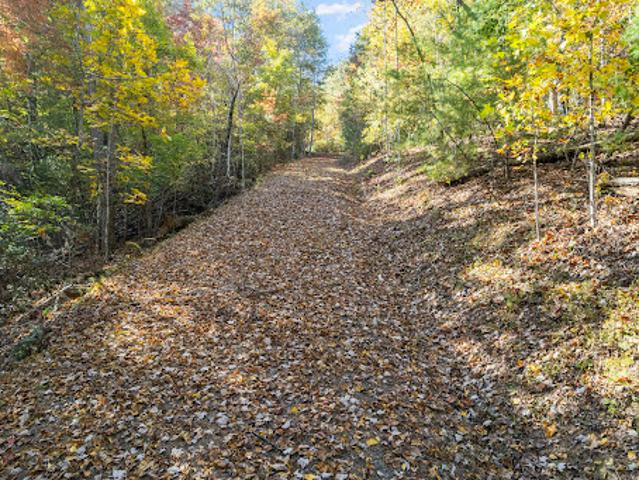 Land for sale in Lake Lure, North Carolina