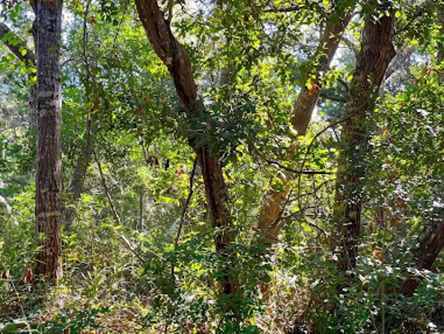 Land for sale in North Carolina