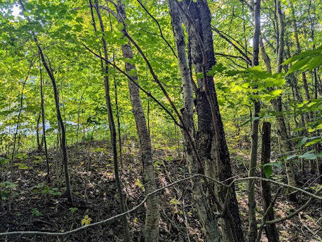 Land for sale in Muskoka, Ontario