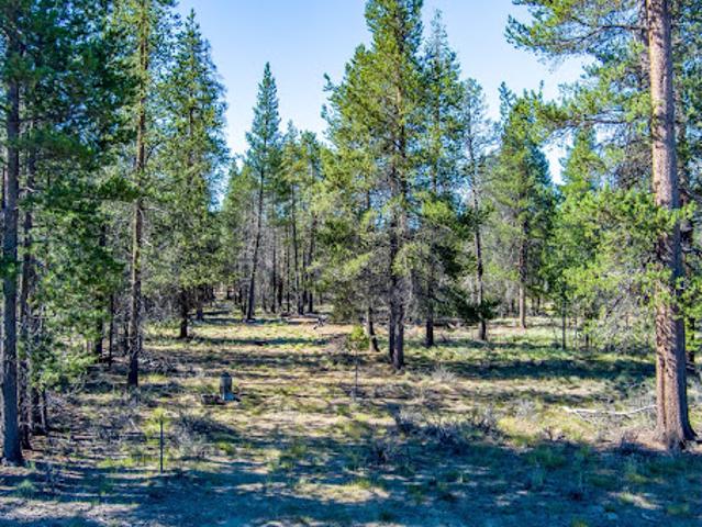 Land for sale in Oregonia