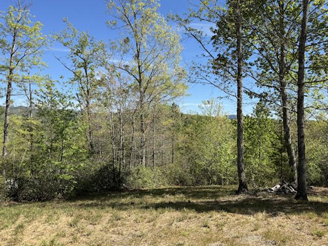 Land for sale in North Carolina