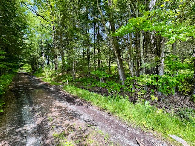 Land for sale in Bradford, Vermont
