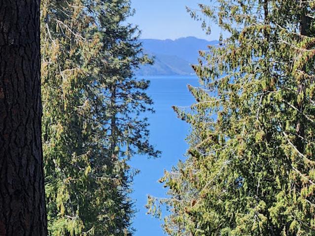 Land for sale in Hope, Idaho