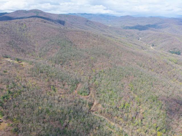 Land for sale in Fairview, North Carolina
