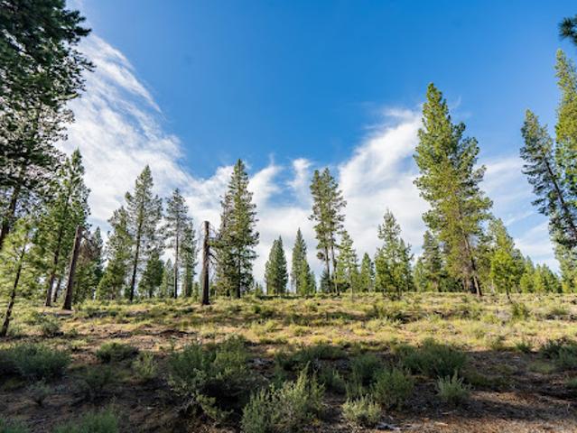 Land for sale in Oregonia