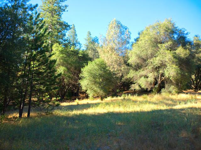 Land for sale in California