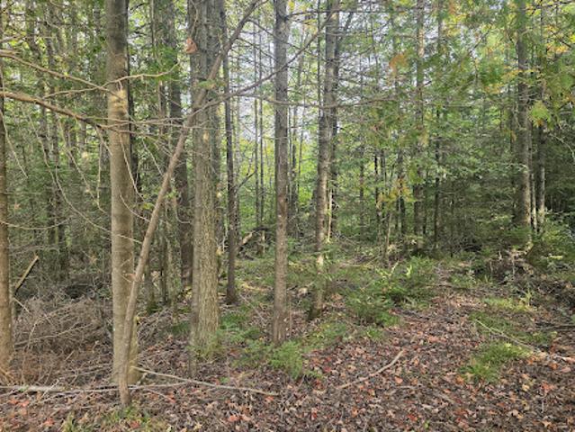 Land for sale in Grey, Ontario