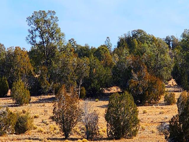 Land for sale in Seligman, Arizona
