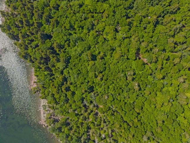 Land for sale in Charlotte, New Brunswick