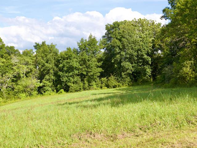 Land for sale in New York