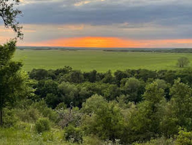Land for sale in Bastrop