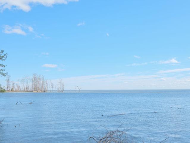 Land for sale in Edenton, North Carolina